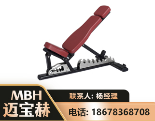 朝阳可调哑铃椅