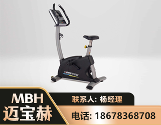 朝阳立式健身车
